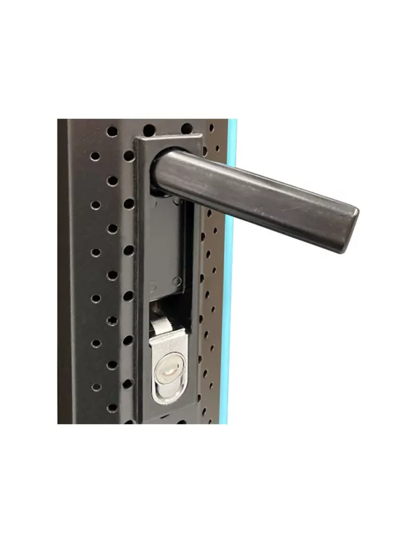 ARMARIO RACK 19" 42U BIACOM 800x1000MM MONTADO SIN ACCESORIOS PUERTA PERFORADA DOBLE/PUERTA PERFORADA DOBLE TRASERA - Imagen 8
