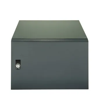 ARMARIO RACK MURAL EXTERIOR IP-55 19" 9U BIACOM 540x500MM MONTADO SIN ACCESORIOS PUERTA METALICA - Imagen 2